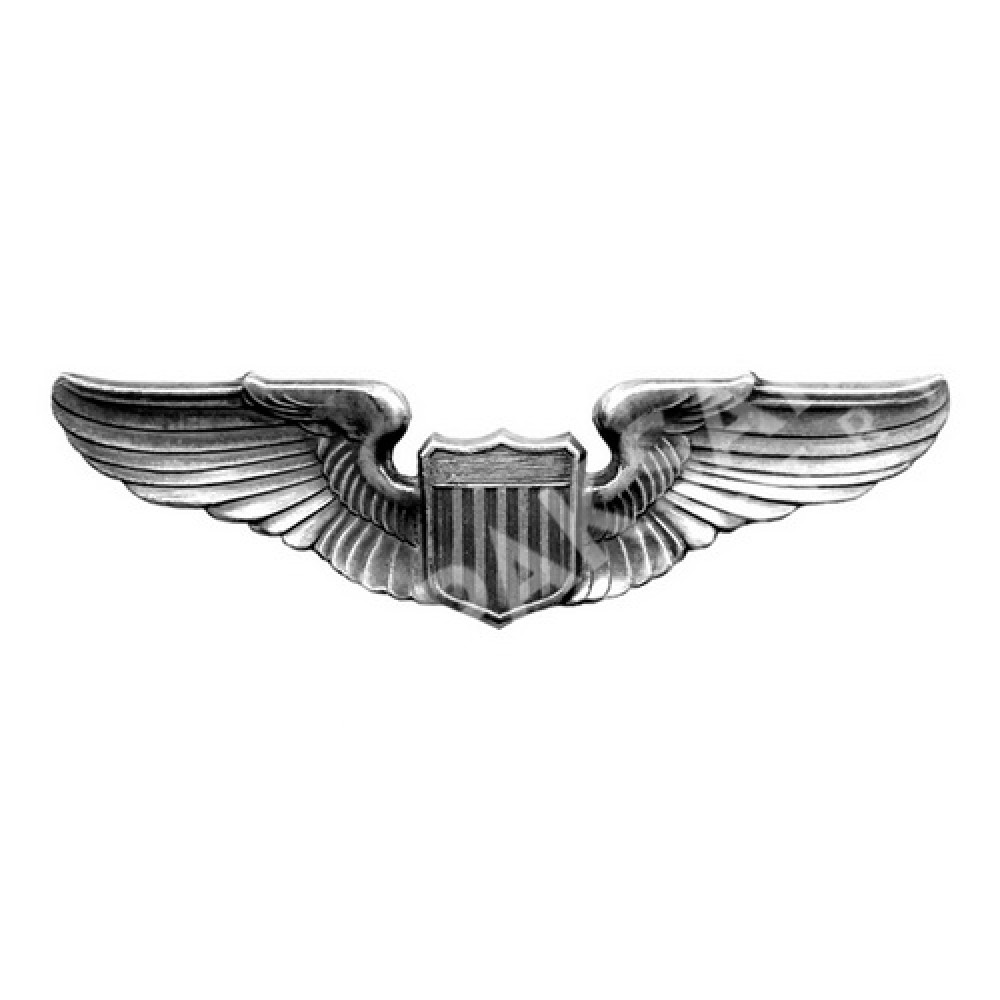 Metal Wings Badge